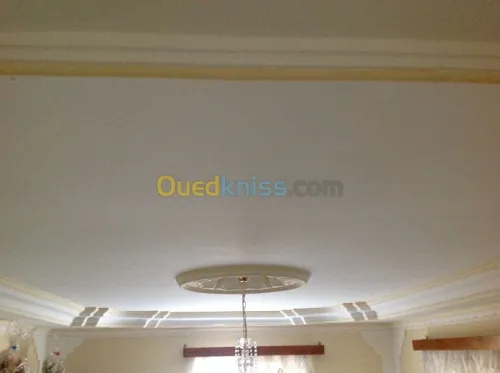 peintures / plâtre / décoration maison