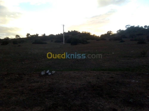 Vente Terrain Bouira Ahnif