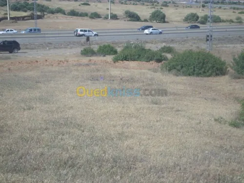 Vente Terrain Bouira Ahnif