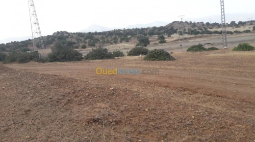 Vente Terrain Bouira Ahnif