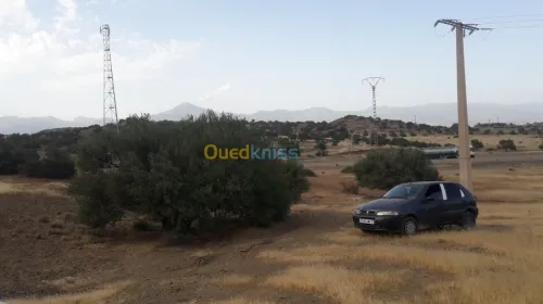 Vente Terrain Bouira Ahnif