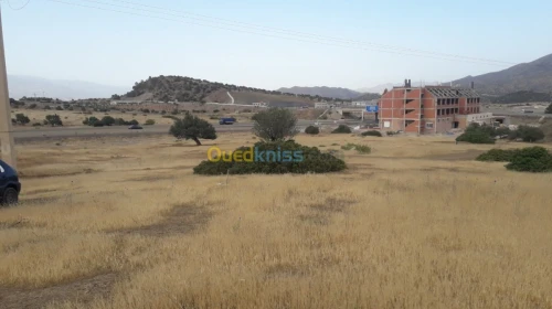 Vente Terrain Bouira Ahnif