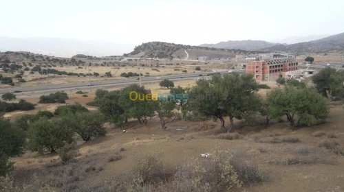Vente Terrain Bouira Ahnif