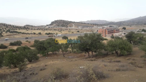 Vente Terrain Bouira Ahnif
