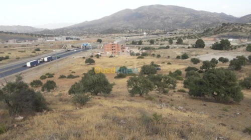 Vente Terrain Bouira Ahnif