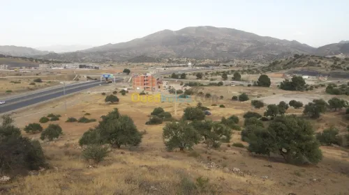Vente Terrain Bouira Ahnif