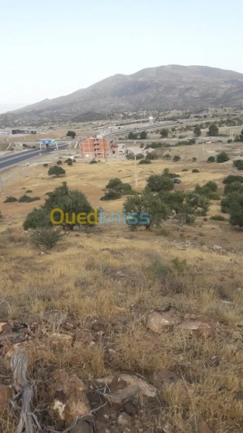 Vente Terrain Bouira Ahnif