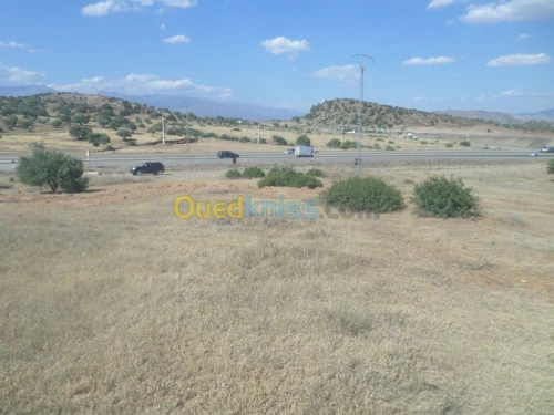 Vente Terrain Bouira Ahnif