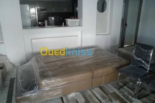 SERVICE DE DEMENAGEMENT/MANUTENTION