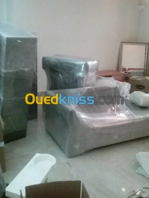 SERVICE DE DEMENAGEMENT/MANUTENTION