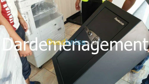 DEMENAGEMENT PARTICULIER ENTREPRISES