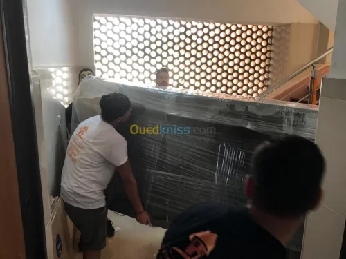 DEMENAGEMENT PARTICULIER ENTREPRISES