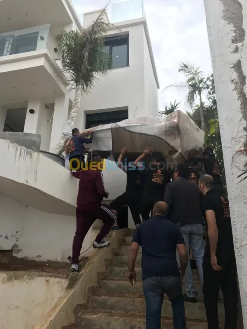 DEMENAGEMENT PARTICULIER ENTREPRISES