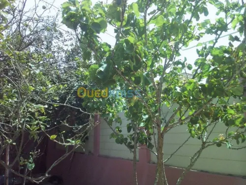 Vente Villa Oran Ain el turck