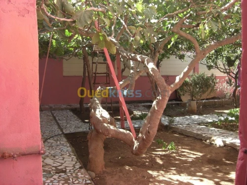 Vente Villa Oran Ain el turck