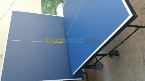PING PONG