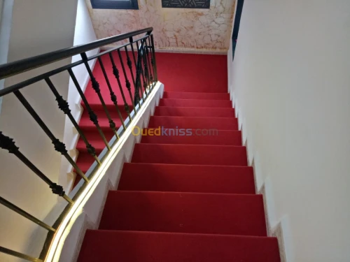 gazon synthétiques & moquette ET locat