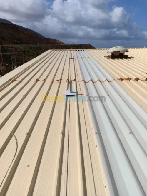 Fourniture et pose ligne de vie