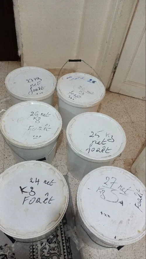 عسل السدر منطقة الاغواط