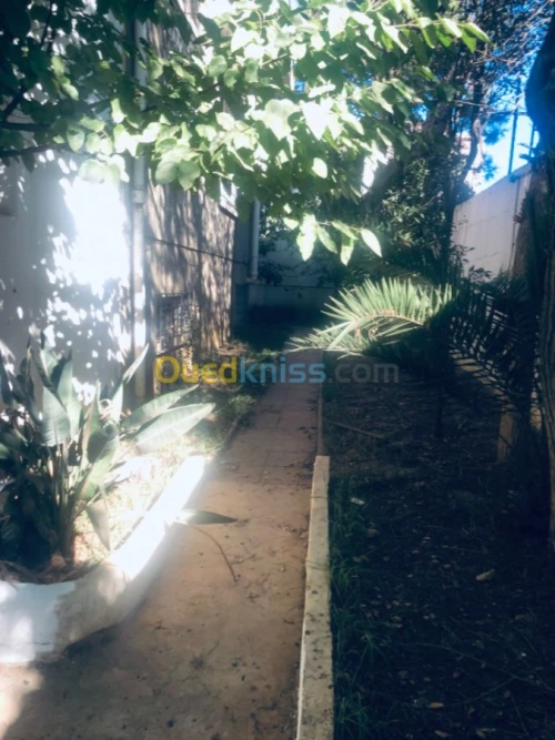Location Villa Alger Bouzareah