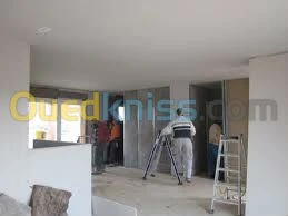 Pose Plaques de Platre et Décoration