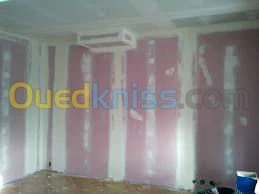 Pose Plaques de Platre et Décoration