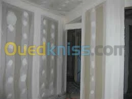 Pose Plaques de Platre et Décoration