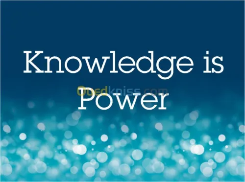 cours de langues et preparation BAC 