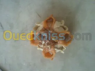 preparation tout les modeles de gateau