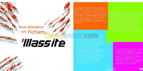 journal publicitaire 