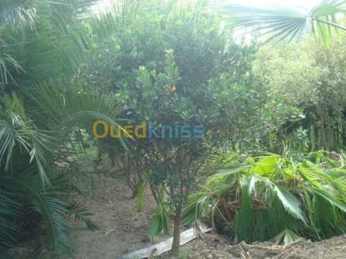 Jardinage