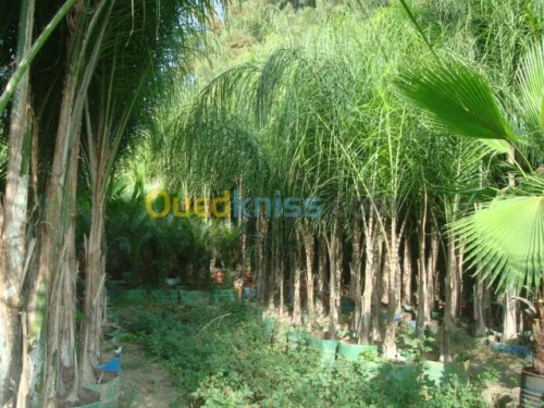Jardinage