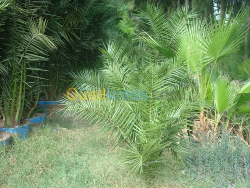 Jardinage