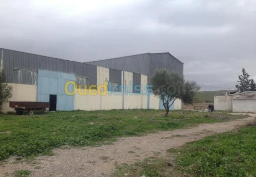 Vente Usine Constantine El khroub