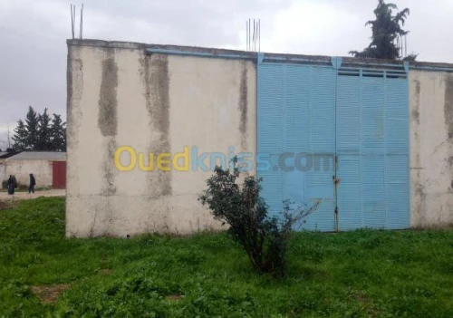 Vente Usine Constantine El khroub