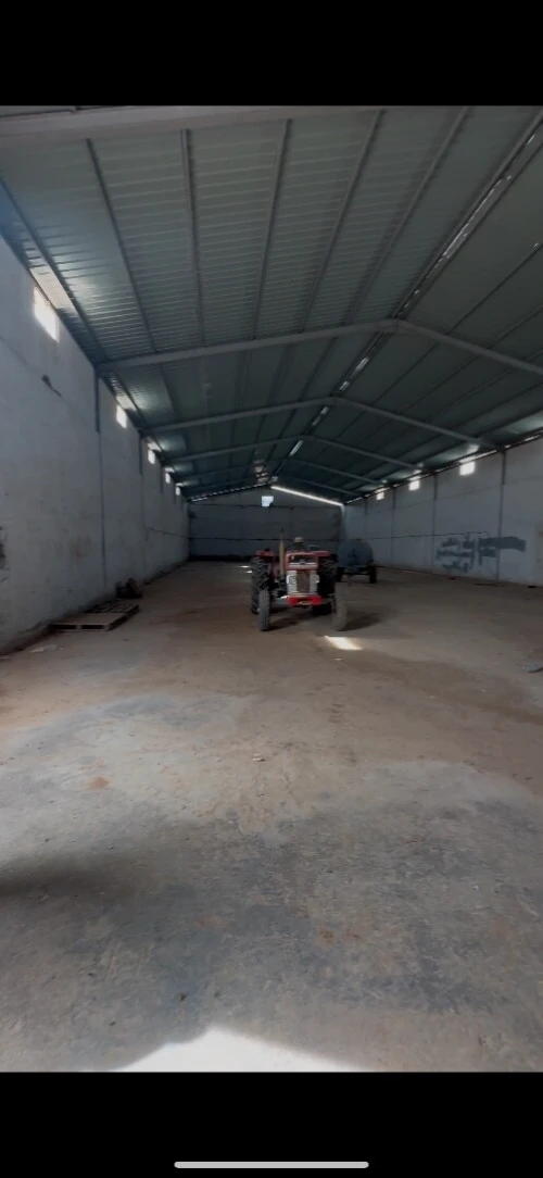 Location Hangar Oran Sidi chami