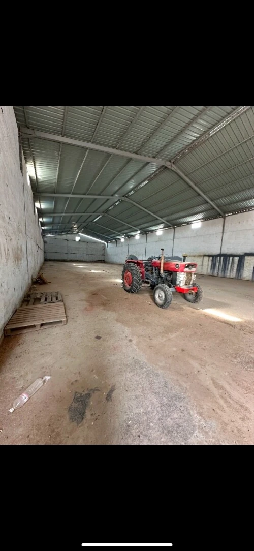Location Hangar Oran Sidi chami