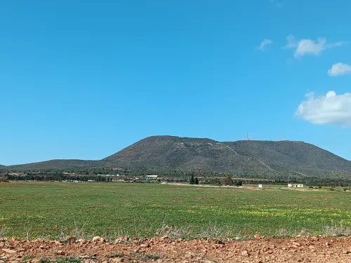 Vente Terrain Oran Hassi ben okba