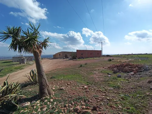 Vente Terrain Oran Hassi ben okba