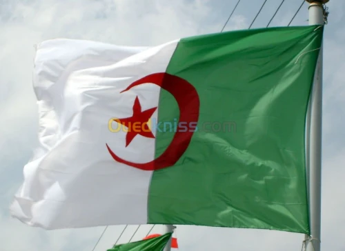 Commerces les drapeaux algerien 