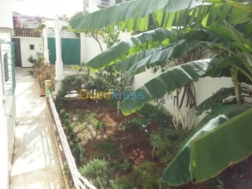 Location Villa Alger Dely brahim