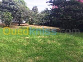 Location Villa Alger Birkhadem