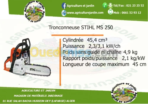 Tronconneuse STIHL MS 250