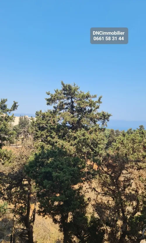 Vente Appartement F4 Tipaza Bou ismail