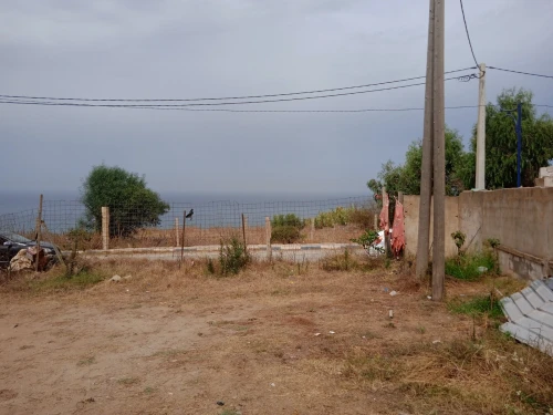 Vente Terrain Boumerdes Thenia