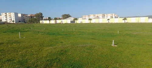 Vente Terrain El Tarf El taref