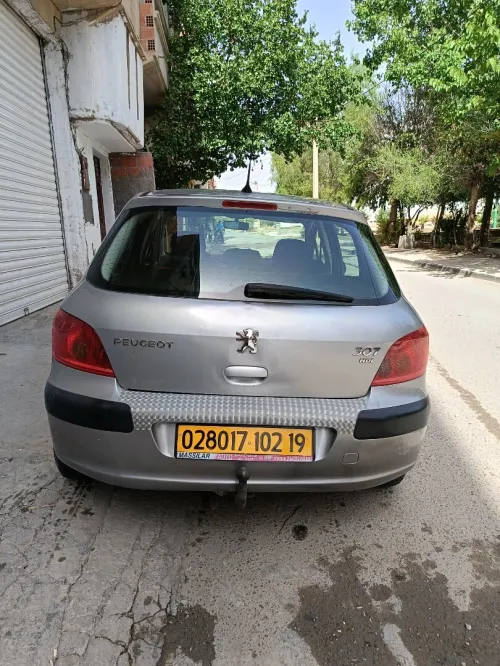 Peugeot 307 2002 307