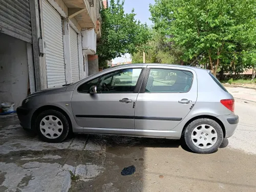 Peugeot 307 2002 307