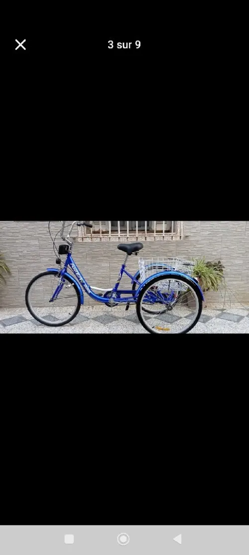 Tricycle classique adulte
