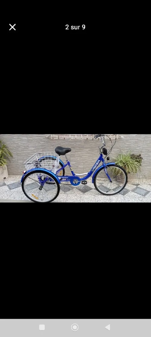 Tricycle classique adulte